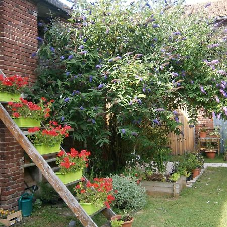 Aux Sources De L'Ancre Bed & Breakfast Miraumont Bagian luar foto