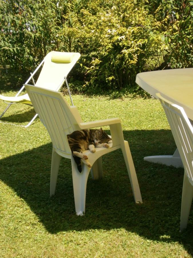 Aux Sources De L'Ancre Bed & Breakfast Miraumont Bagian luar foto
