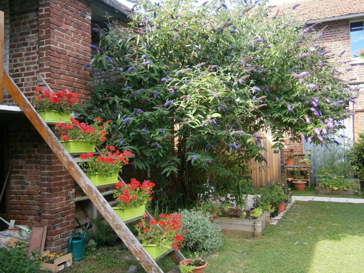 Aux Sources De L'Ancre Bed & Breakfast Miraumont Bagian luar foto